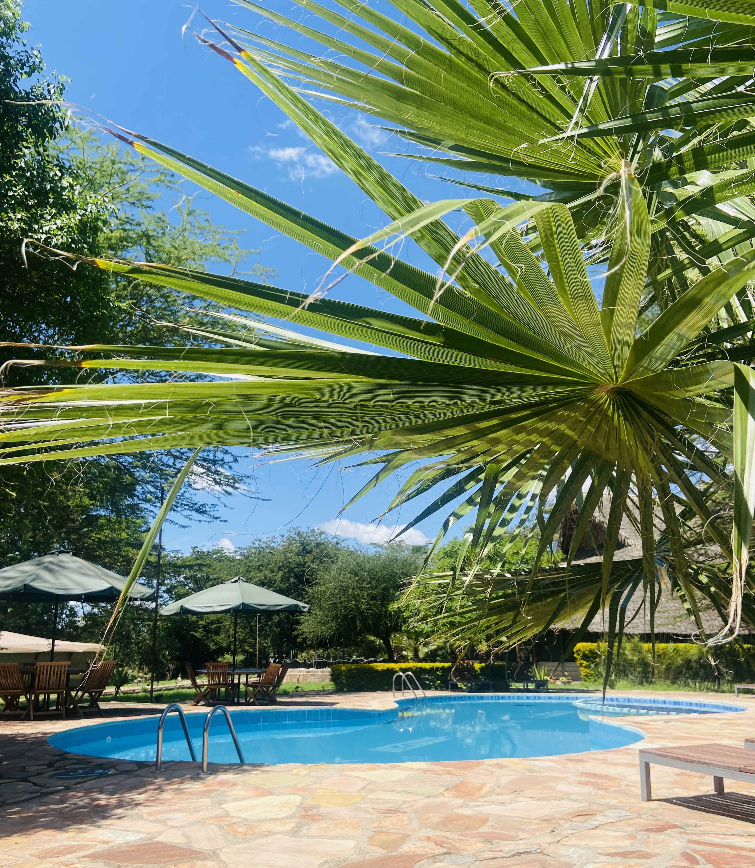 Api Mara Mara Sweet Acacia Lodge - Luxury Safari Experience in Maasai Mara